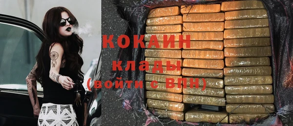 крисы Белокуриха