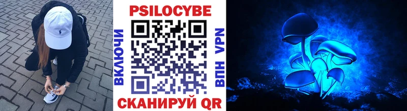 продажа наркотиков  Кимры  mega tor  Галлюциногенные грибы Cubensis 